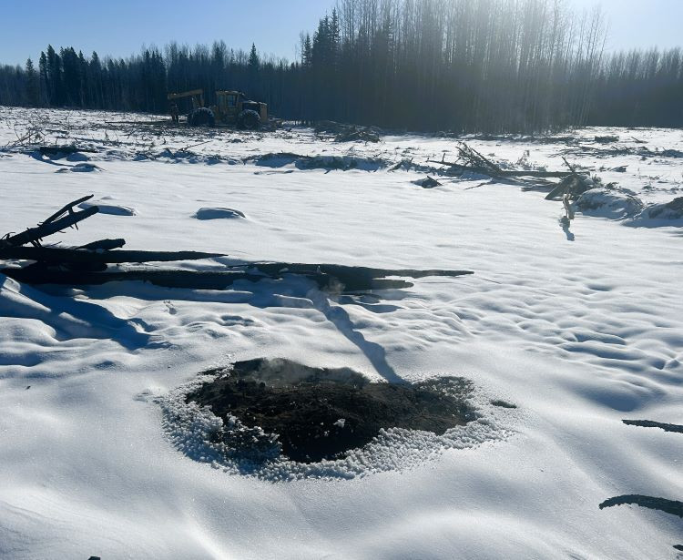 Snow-covered clearing with scattered logs and debris. A small patch of dark ground steams through the snow in the foreground, while heavy forestry equipment sits near a tree line under bright winter sunlight.