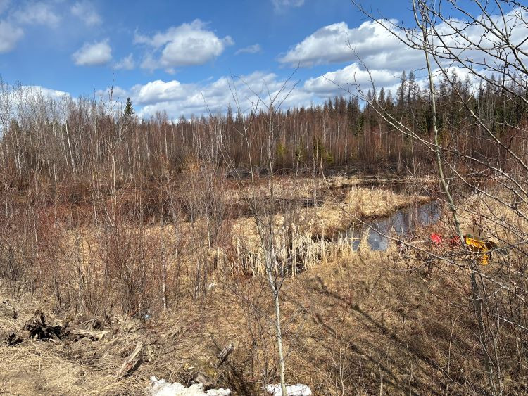 Wildfire wwf002 with some burnt areas - very minimal smoke. 